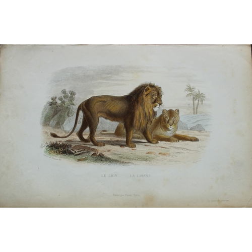 8296 - Buffon & Travies - 4 prints of Mammals 1839.

These original hand-coloured steel engravings are from... 