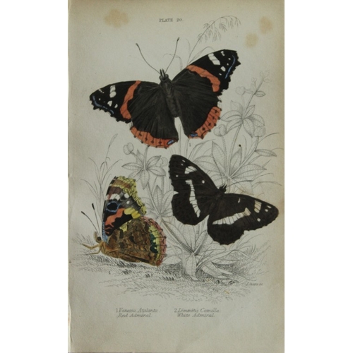 8368 - Sir W Jardine - 3 prints of British Butterflies 1835.

These engravings of British butterflies are f... 