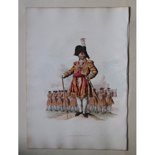 8701 - William H Pyne - Sergeant Trumpeter 1808.

This aquatint engraving is from The Costumes of Great Bri... 