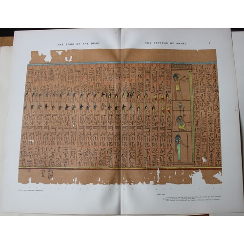 8791 - Papyrus of Anhai from the Book of the Dead 1899.

This large chromolithograph print is from E.A. Wal... 