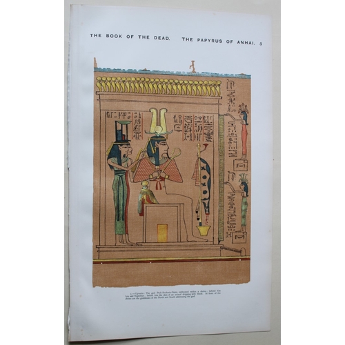 8794 - Papyrus of Anhai from the Book of the Dead 1899.

This chromolithograph print is from E.A. Wallis Bu... 