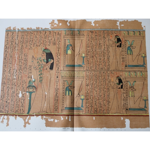 8797 - Papyrus of Anhai from the Book of the Dead 1899.

This large chromolithograph print is from E.A. Wal... 