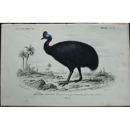 9221 - Edouard Travies  - 3 bird prints from Dict. Univ. 1849. 

These prints are from the first edition of... 