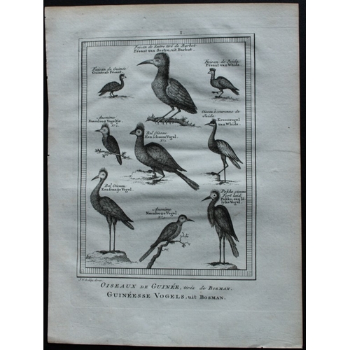 9238 - Jakob van der Schley - Birds of Guinea incl Cranes 1747. 

This rare original etching, on hand laid ... 