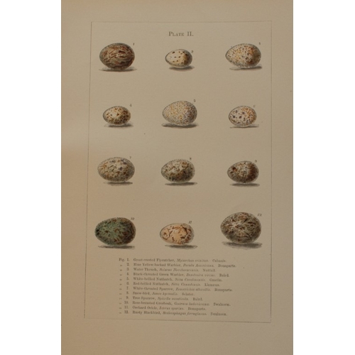 9268 - Edward Samuels - 4 prints of American bird eggs 1868. 

These prints are from Ornithology and Oology... 