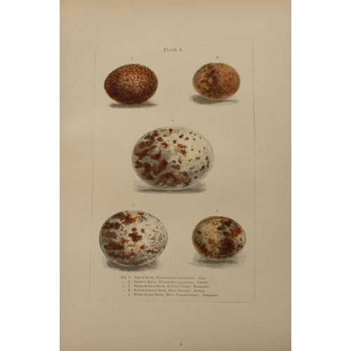 9268 - Edward Samuels - 4 prints of American bird eggs 1868. 

These prints are from Ornithology and Oology... 