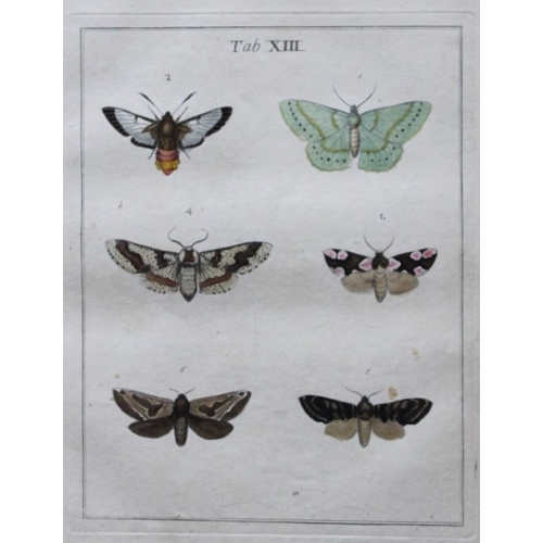 9352 - Moses Harris - 2 engravings of Moths 1776. 

These original hand-coloured copper-plate engravings of... 