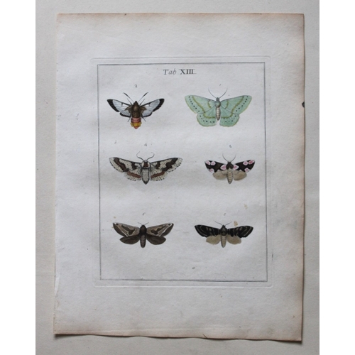 9352 - Moses Harris - 2 engravings of Moths 1776. 

These original hand-coloured copper-plate engravings of... 