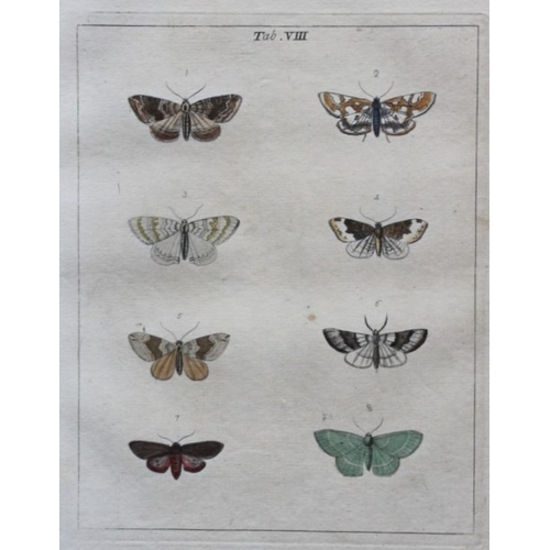 9353 - Moses Harris - 2 engravings of Moths 1776. 

These original hand-coloured copper-plate engravings of... 