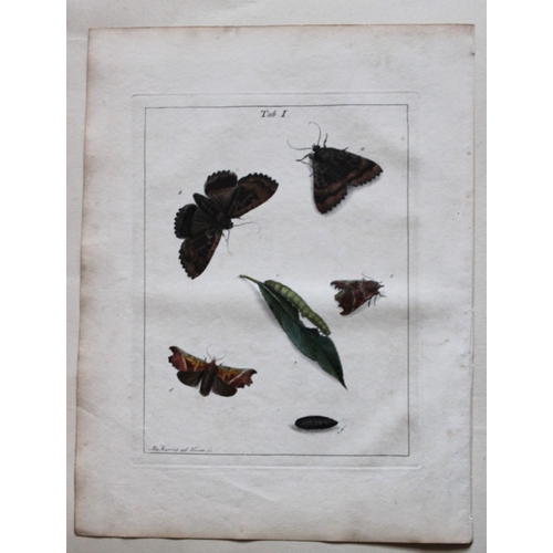 9353 - Moses Harris - 2 engravings of Moths 1776. 

These original hand-coloured copper-plate engravings of... 