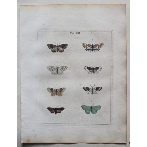 9353 - Moses Harris - 2 engravings of Moths 1776. 

These original hand-coloured copper-plate engravings of... 