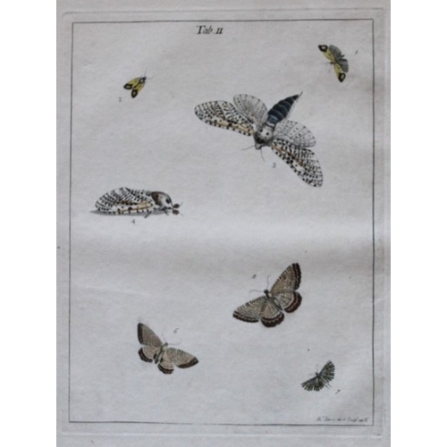 9354 - Moses Harris - 2 engravings of Moths 1776. 

These original hand-coloured copper-plate engravings of... 