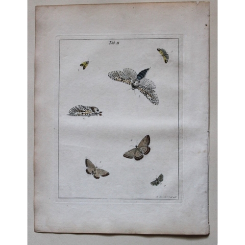 9354 - Moses Harris - 2 engravings of Moths 1776. 

These original hand-coloured copper-plate engravings of... 