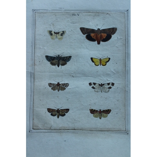 9355 - Moses Harris - 2 engravings of Moths 1776. 

These original hand-coloured copper-plate engravings of... 