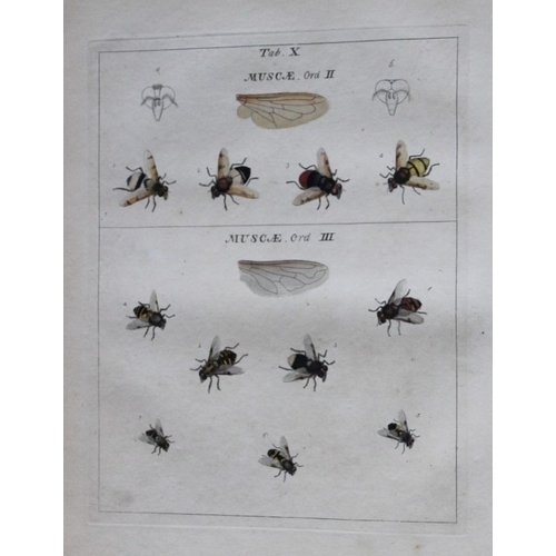 9357 - Moses Harris - 2 engravings of Flies 1776. 

These original hand-coloured copper-plate engravings of... 