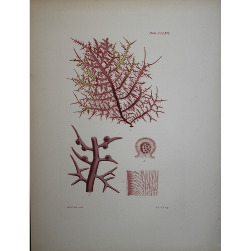 9394 - William Harvey - 2 Hand-coloured lithographs of Sea-Weeds 1846. 

These lithographs are from Phycolo... 