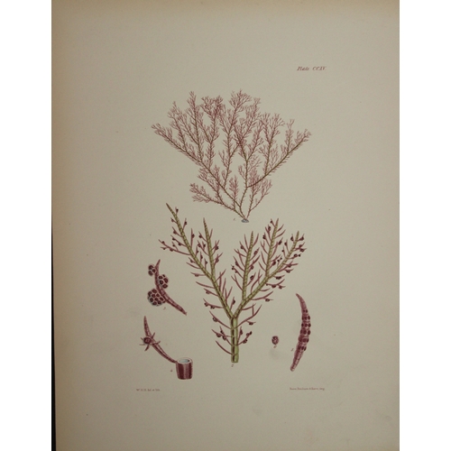 9396 - William Harvey - 2 Hand-coloured lithographs of Sea-Weeds 1846. 

These lithographs are from Phycolo... 