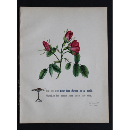 9407 - Jane E Giraud - 4 prints from Flowers of Shakespeare 1845. 

These original hand-coloured floral pri... 