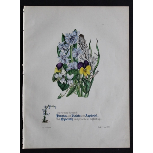 9412 - Jane E Giraud - 2 prints from Flowers of Milton 1846. 

These original hand-coloured floral prints a... 