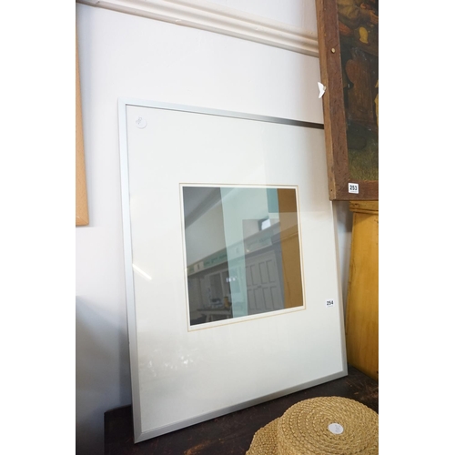 Lot 254       