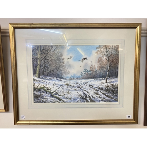 28 - A watercolour of pheasants in flight over a wintery woodland scene by Carl Donner