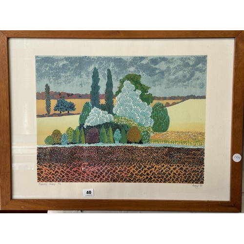 40 - A Limited Edition print by Akroyd 1986 of a ploughed field with trees in the distance