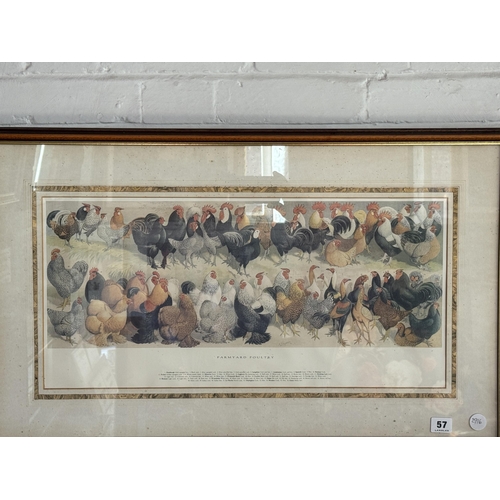 57 - A framed print depicting farmyard poultry