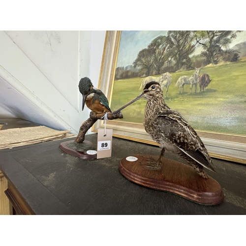 89 - 2 taxidermies - a kingfisher and a woodcock