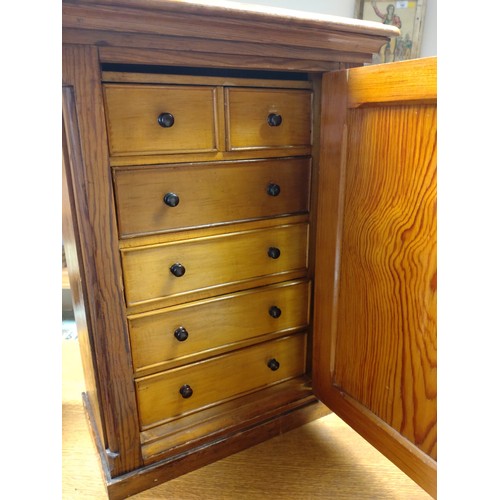 1 - A Victorian Specimen Cabinet. The single panel door opening to reveal a series of drawers.