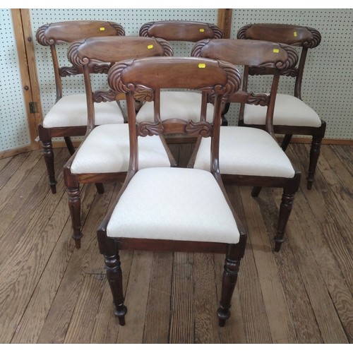 60 - Six William IV mahogany dining chairs, one is a carver. Circa 1830.