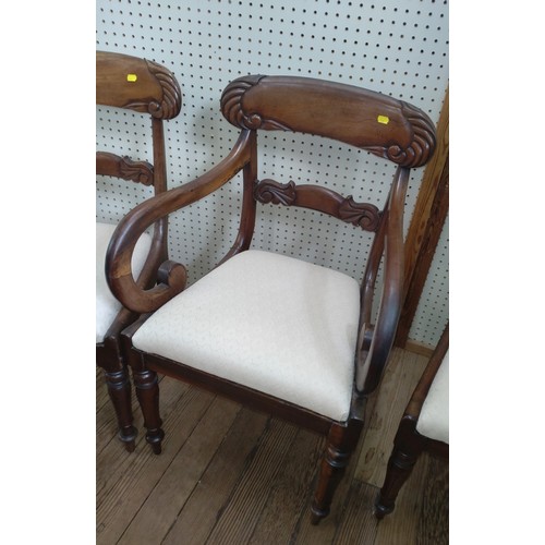 60 - Six William IV mahogany dining chairs, one is a carver. Circa 1830.