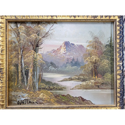 83 - A rural mountainous lakeside scene, oil on canvas, signed Whitman lower left, and framed. 26cm x 31c... 