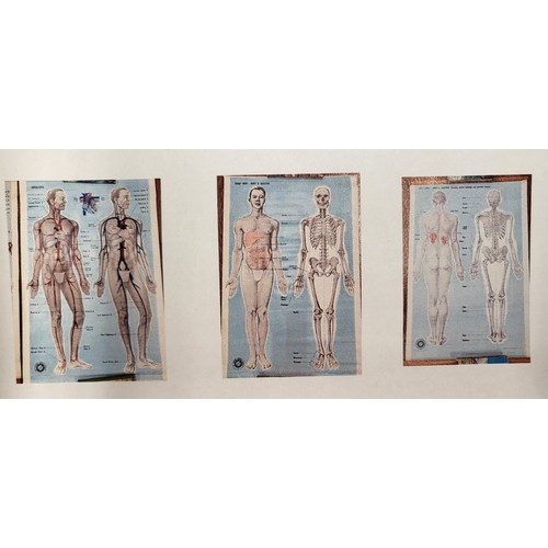 108 - St John's Ambulance educational posters: Back view body and skeleton 98cm x 66cm & 'Circulation'  (u... 