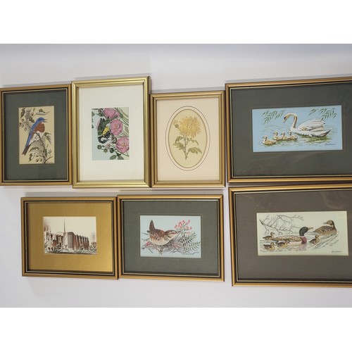 64 - Seven framed and mounted silk pictures: six boxed Cash's collector series including 'Wren' 15cm x 19... 