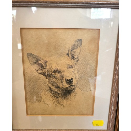 65 - Four works in pencil by Ascelin Hay nee Ascelin Collett-Mason including Pigs in a gilt frame 44cm x ... 