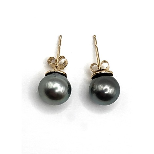 252 - One pair of Tahitian blue-grey pearls in 9ct yellow gold. Pearl 8.2mm. Butterfly back.