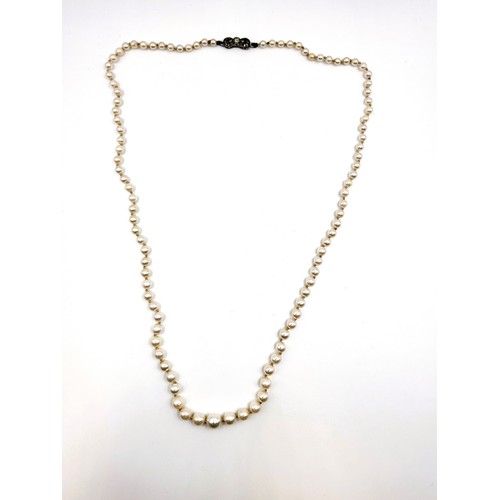 277 - A graduated set of cultured pearls with a silver (foreign) clasp measuring 53cm