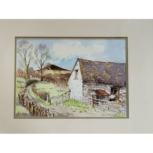 74 - A watercolour of Farm Yard by Peter McLaughlin, framed and glazed. 56cm x 63cm.