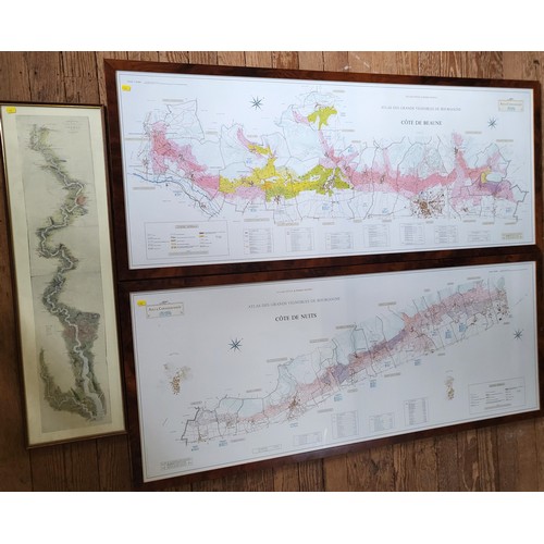 100 - Two large maps of French vineyards, framed and glazed, 64cm x 155cm, and a map of the River Thames, ... 