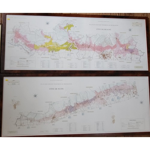 100 - Two large maps of French vineyards, framed and glazed, 64cm x 155cm, and a map of the River Thames, ... 