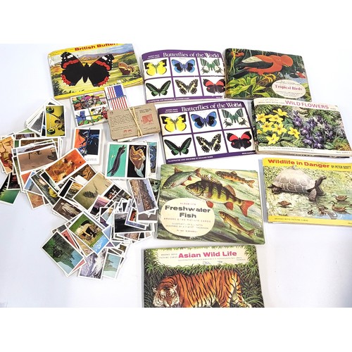 215 - Collection of tea cards in albums: Butterflies of the World, Asian Wildlife, Freshwater Fish, Wildli... 