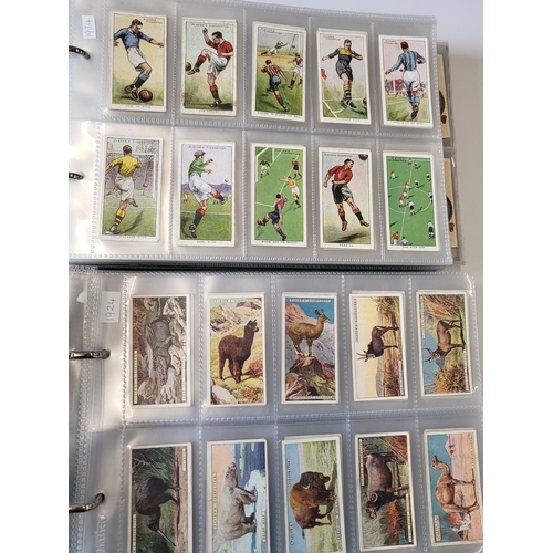 186 - Six albums of Wills and Players cigarette cards of various subjects including Birds, Cricketers, Der... 