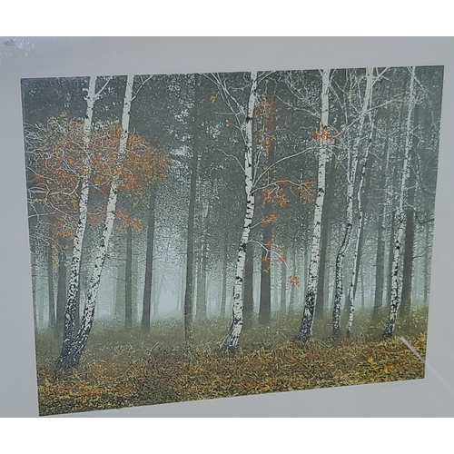 74 - Two limited edition prints: Graham Everden 'Cope, Cornwall' 306/350, and Kenneth Leech 'Forest Walk'... 