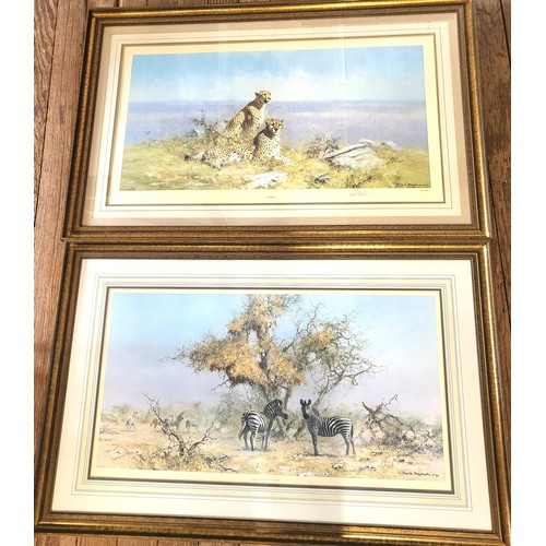 Lot 54        