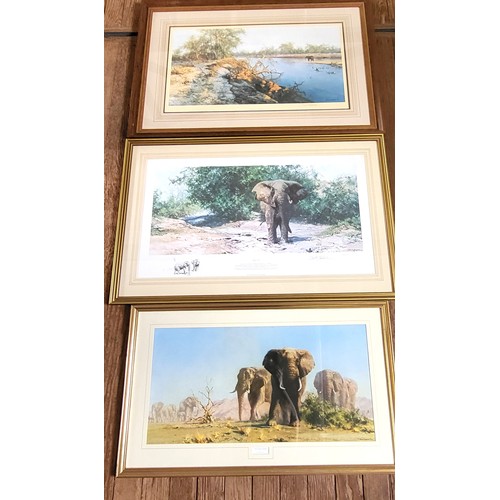 Lot 55        