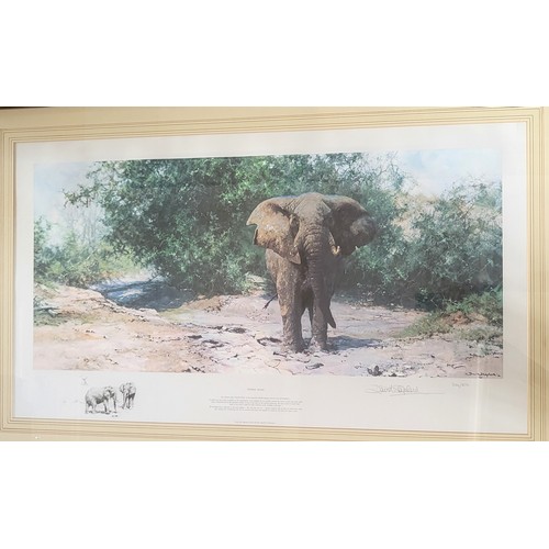 55 - A  collection of three works of art by David Shepherd featuring elephants, two prints signed in penc... 