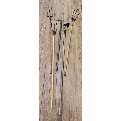 139 - Five vintage farming tools including pitchforks and a hoe. (5)