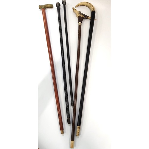 143 - Five walking sticks.