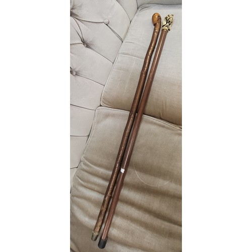 154 - Two walking canes including a carved bone bloodhound and a hazel