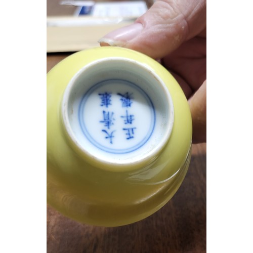 230 - A pair of Chinese porcelain small yellow bowls with Yung Cheng six-character blue marks to each base... 